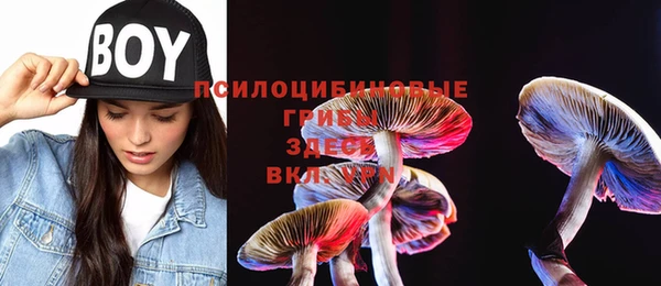 винт Белокуриха