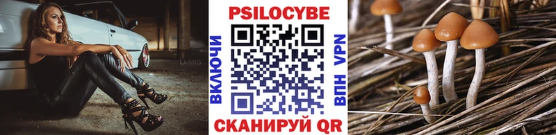 купить наркотики сайты  Самара  МЕГА зеркало  Галлюциногенные грибы мухоморы 